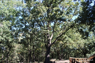 Bivacco Grandi Querce